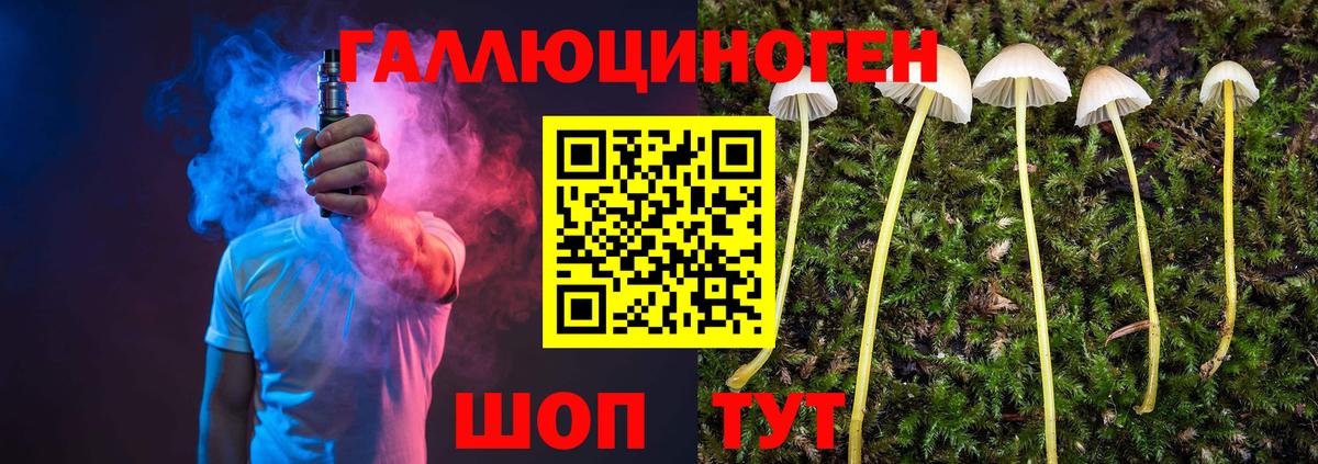Галлюциногенные грибы прущие грибы  Псилоцибиновые грибы GOLDEN TEACHER  Кыштым  Вход с VPN 